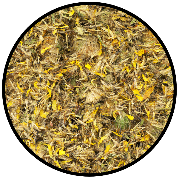 Flor de Arnica Seca