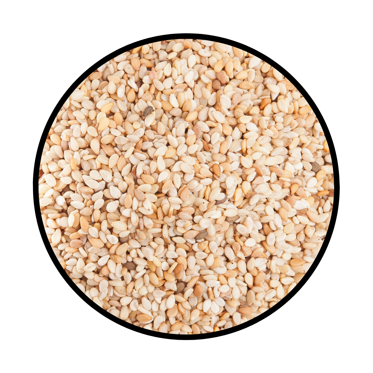 Ajonjoli Blanco