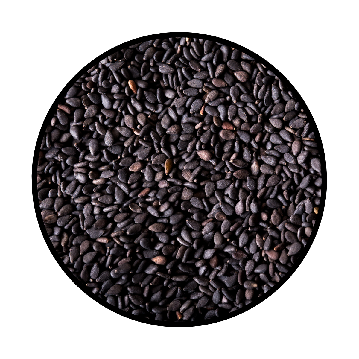 Ajonjoli Negro