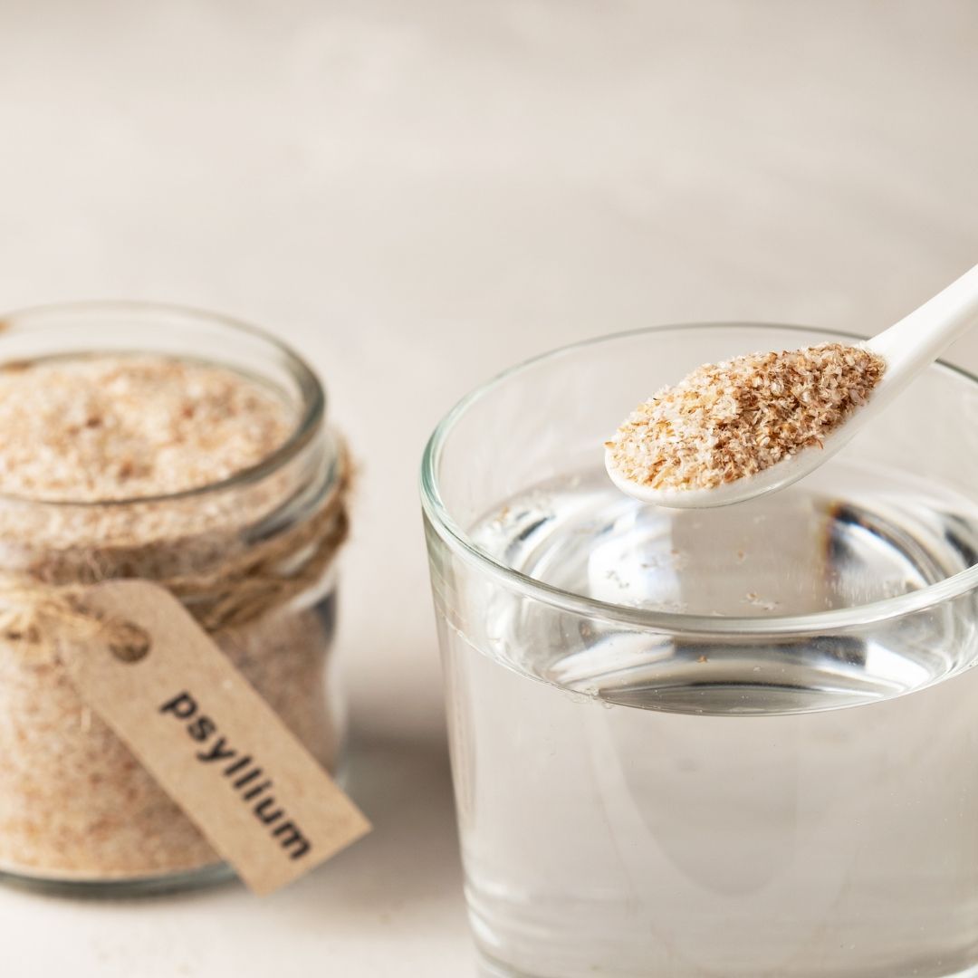 Psyllium Plantago en Polvo