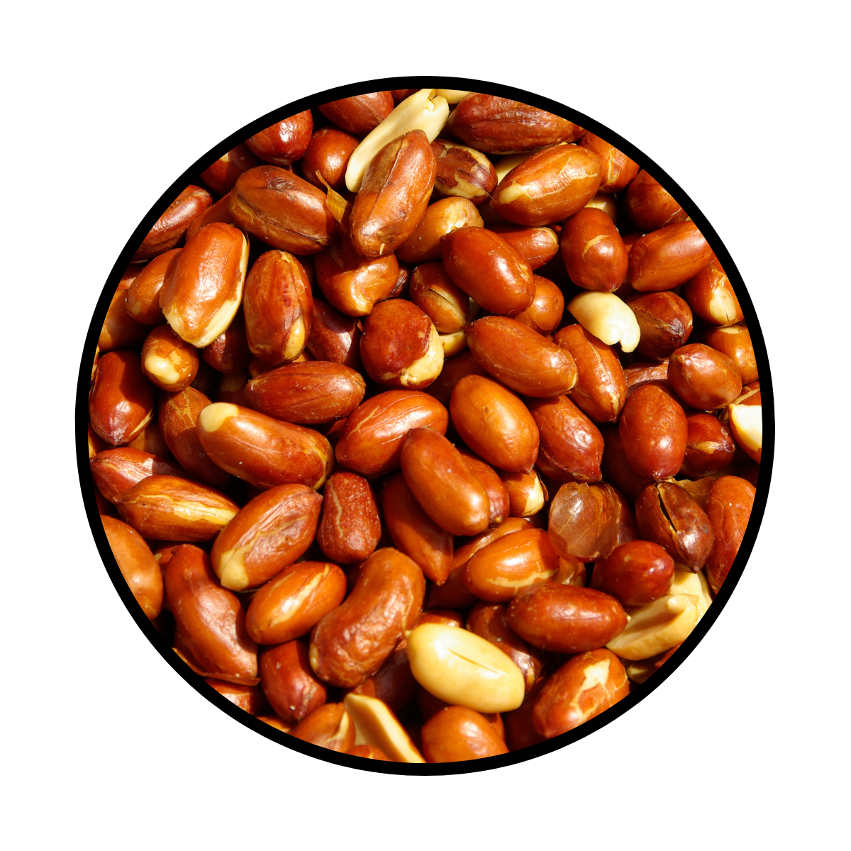 Cacahuate Español